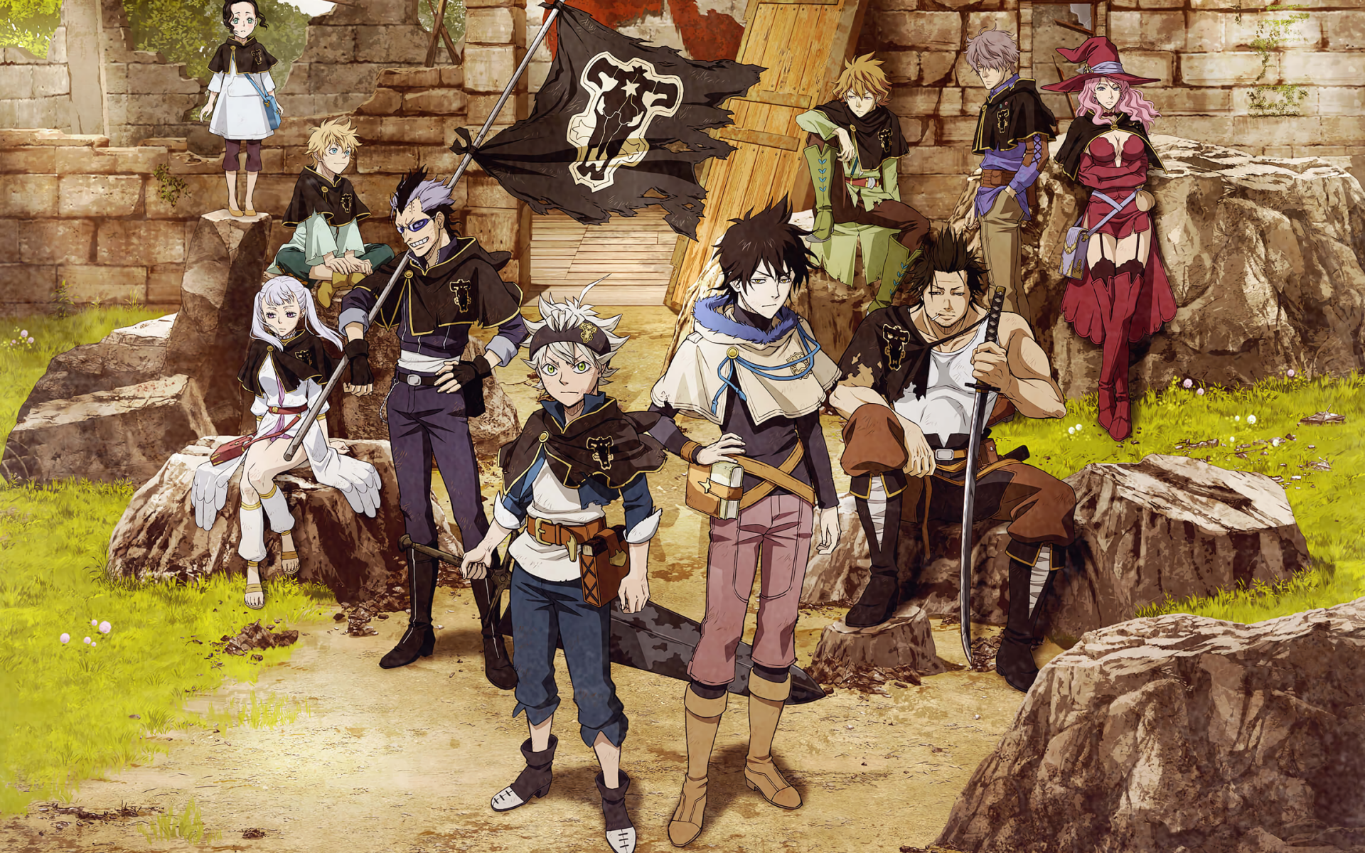 Black Clover Collection